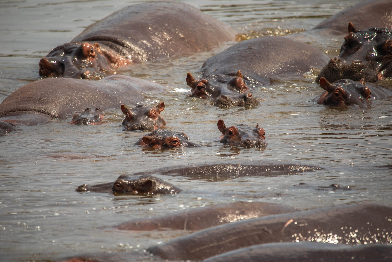 Lake Manyara