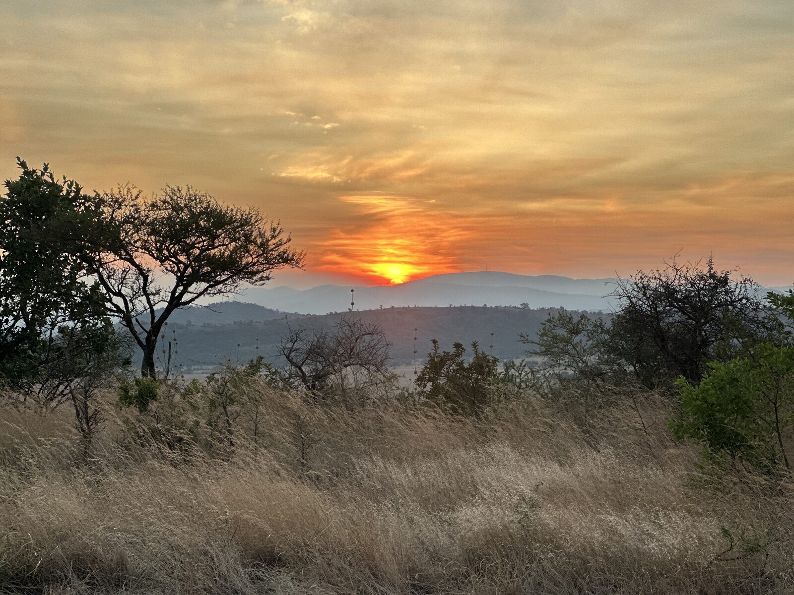 Sunset over the savanna