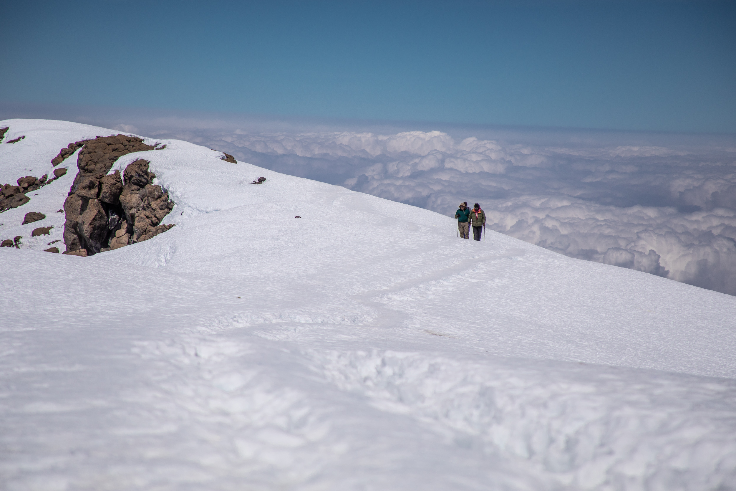 7-Day Lemosho Route – Kilimanjaro Climb